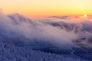 Linuxでswapの最適化を行う